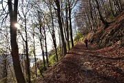 16 Sulla stradetta agrosilvopastorale  in faggeta del segnavia 578